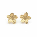 Boucles d'oreilles Aloïs